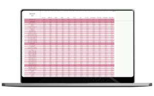 Persönliches Budget-Dashboard (Pink)